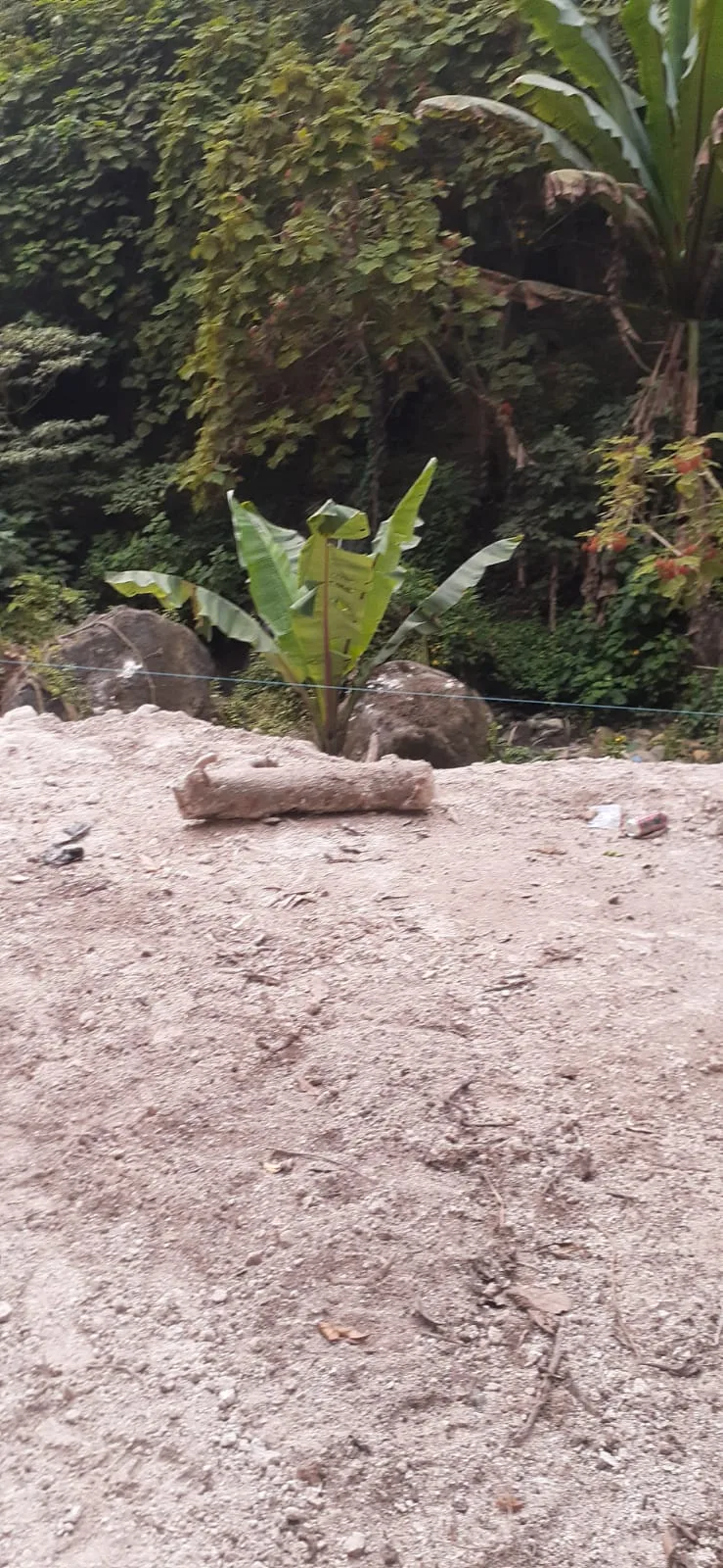 Avance de obra del 09/01/2026